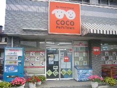 COCO　PET’S　TOWN　(さいたま市大宮区)　（ペットショップ）