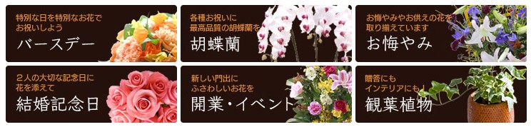 hanatsune-flower_4.jpg