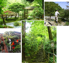 日本植物園　株式会社　（さいたま市　見沼区）　土木・造園施工管理工事