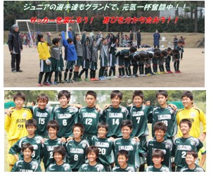 NPO法人東松山ぺレーニア（埼玉県東松山市）スポーツクラブ　サッカー　