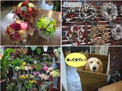 花屋　Florist Shuei（フローリスト　シュウエイ）（埼玉県行田市）花屋