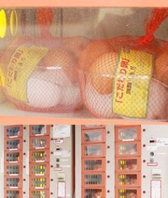 有限会社 須賀商店(埼玉県越谷市)卵の生産、鶏卵卸、卸売
